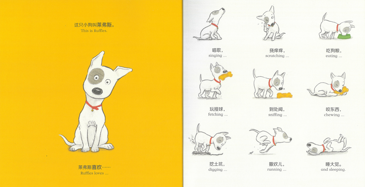 Ruffles Series 《莱弗斯系列》