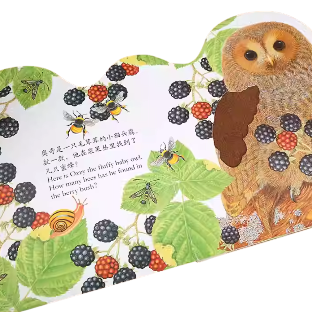Touch and Feel Board Book: Ozzy Owl 《小猫头鹰奥奇触摸书》