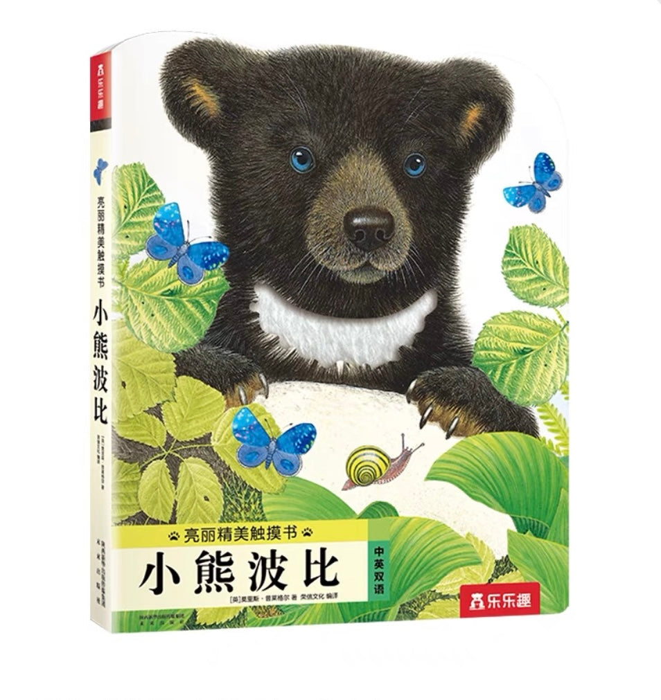 Touch and Feel Board Book: Bobby Bear 《小熊波比触摸书》