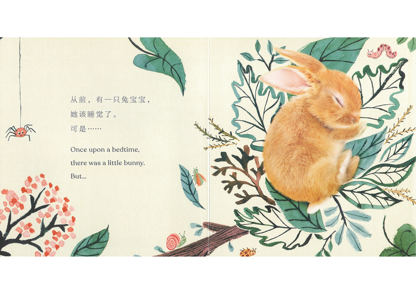 Goodnight, Little Bunny 《晚安,小兔子》