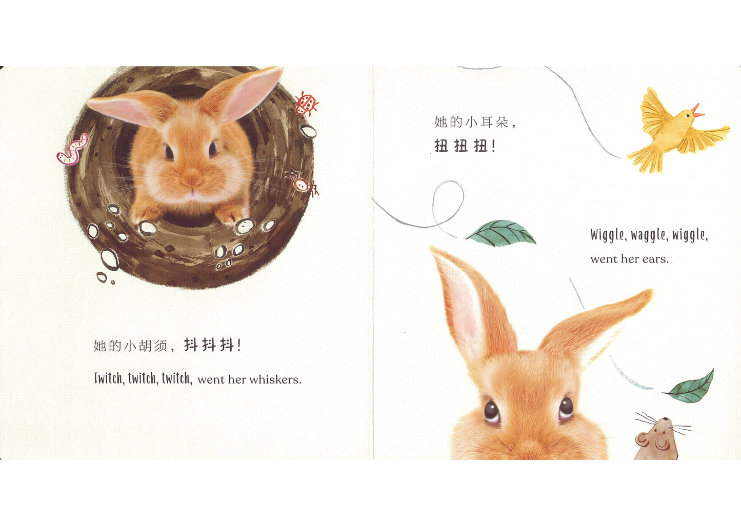 Goodnight, Little Bunny 《晚安,小兔子》