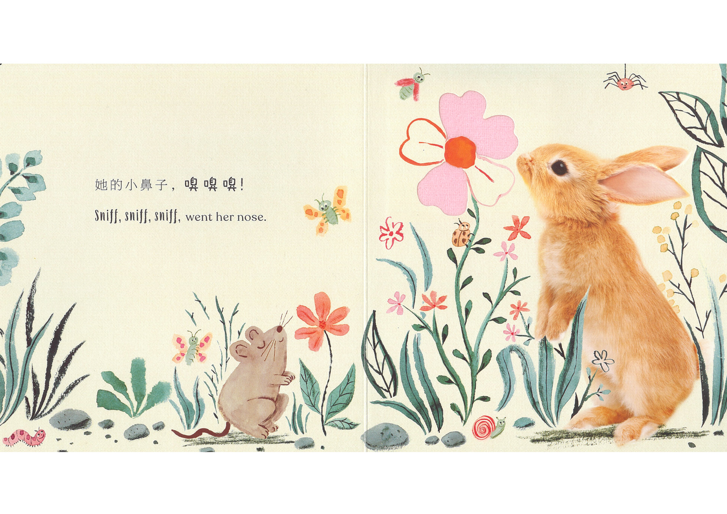 Goodnight, Little Bunny 《晚安,小兔子》