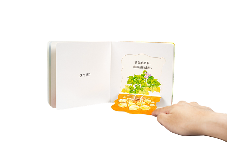 Lift-the-flap Fruits & Vegetables