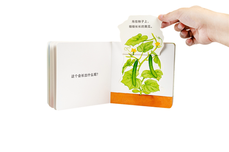 Lift-the-flap Fruits & Vegetables