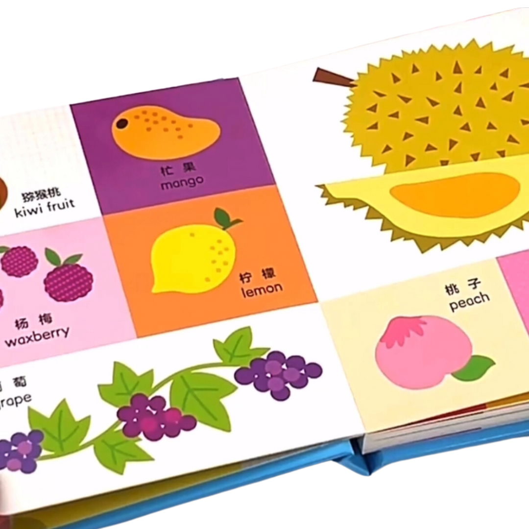 Bilingual Encyclopedia 《0-3 双语启蒙小百科 》