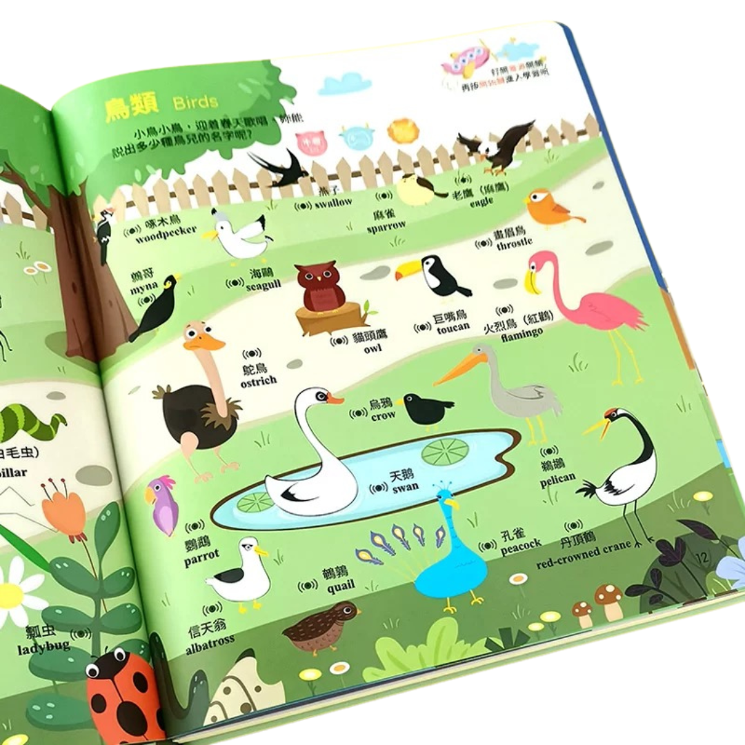 Tri-lingual Baby Encyclopedia Audio Book in Cantonese/ Mandarin/ English