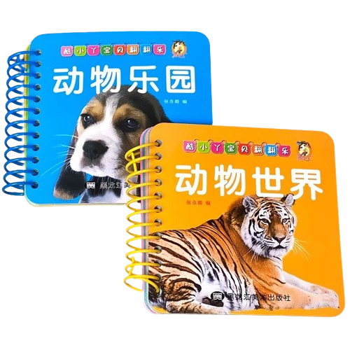 Flash Card Bundle: Animal Kingdom