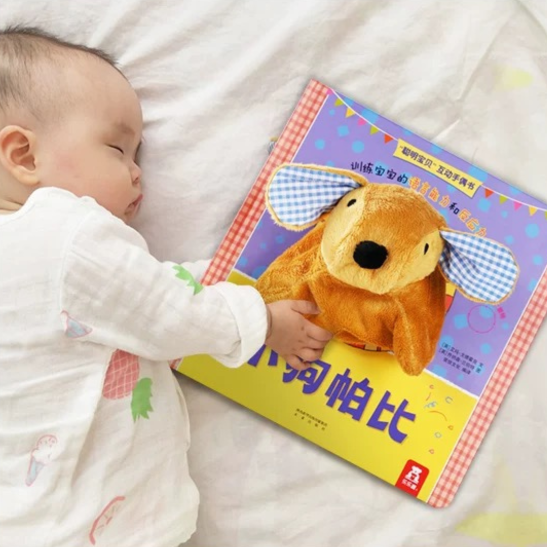 Little Puppy Hand Puppet Book 《小狗帕比》