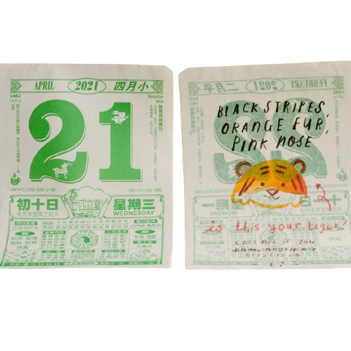 Dumpling the Tiger
