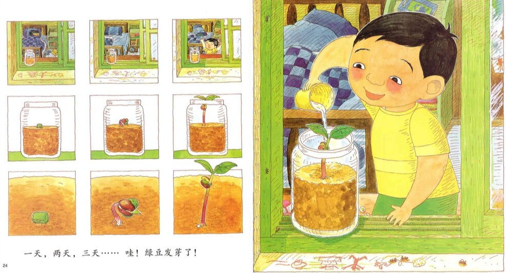 Let's Get Mung Beans, Momma! 《妈妈,买绿豆!》