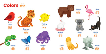 Habbi Habbi Bilingual Mandarin: Book of First Words