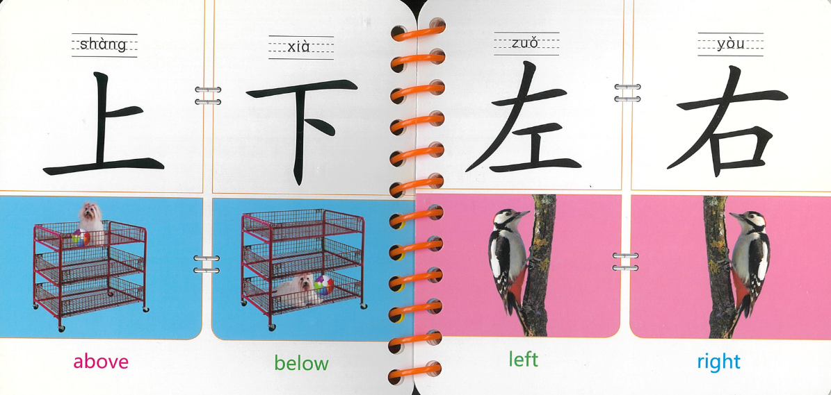 Bilingual Flash Cards: Learning Words 《看图识字》