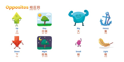 Habbi Habbi Bilingual Cantonese: Book of First Words