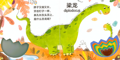 Wonderful Books with Holes Series 《妙趣洞洞书系列》