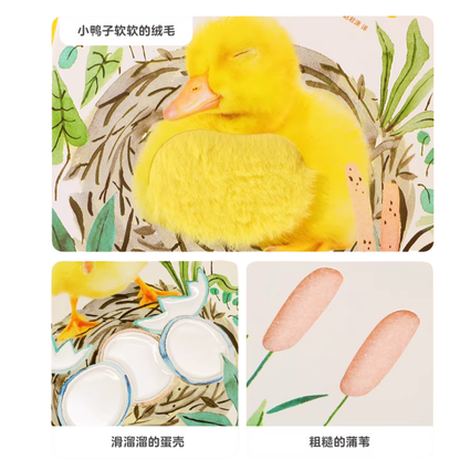 Goodnight, Little Duckling《晚安，小鸭子》