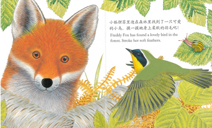 Touch and Feel Board Book: Billy Bunny  《小兔比利触摸书》