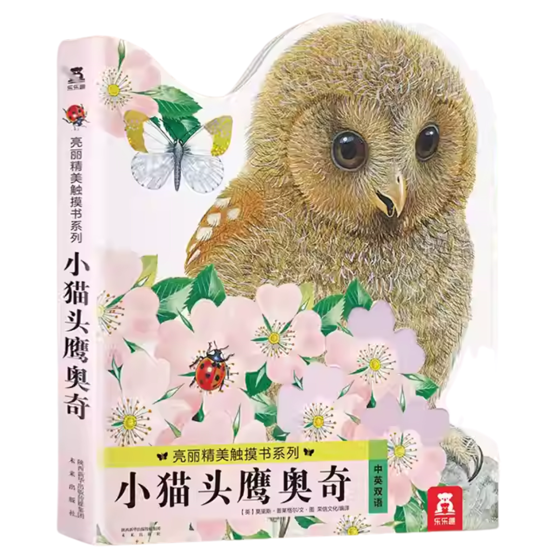 Touch and Feel Board Book: Ozzy Owl  《小猫头鹰奥奇触摸书》