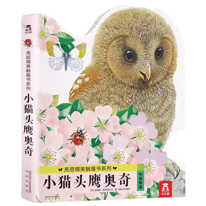 Touch and Feel Board Book: Ozzy Owl  《小猫头鹰奥奇触摸书》