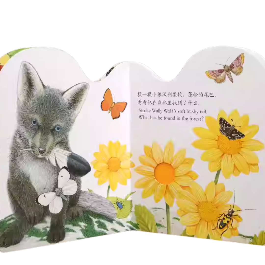Touch and Feel Board Book: Ozzy Owl  《小猫头鹰奥奇触摸书》
