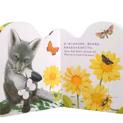 Touch and Feel Board Book: Ozzy Owl  《小猫头鹰奥奇触摸书》