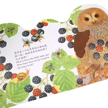 Touch and Feel Board Book: Ozzy Owl  《小猫头鹰奥奇触摸书》