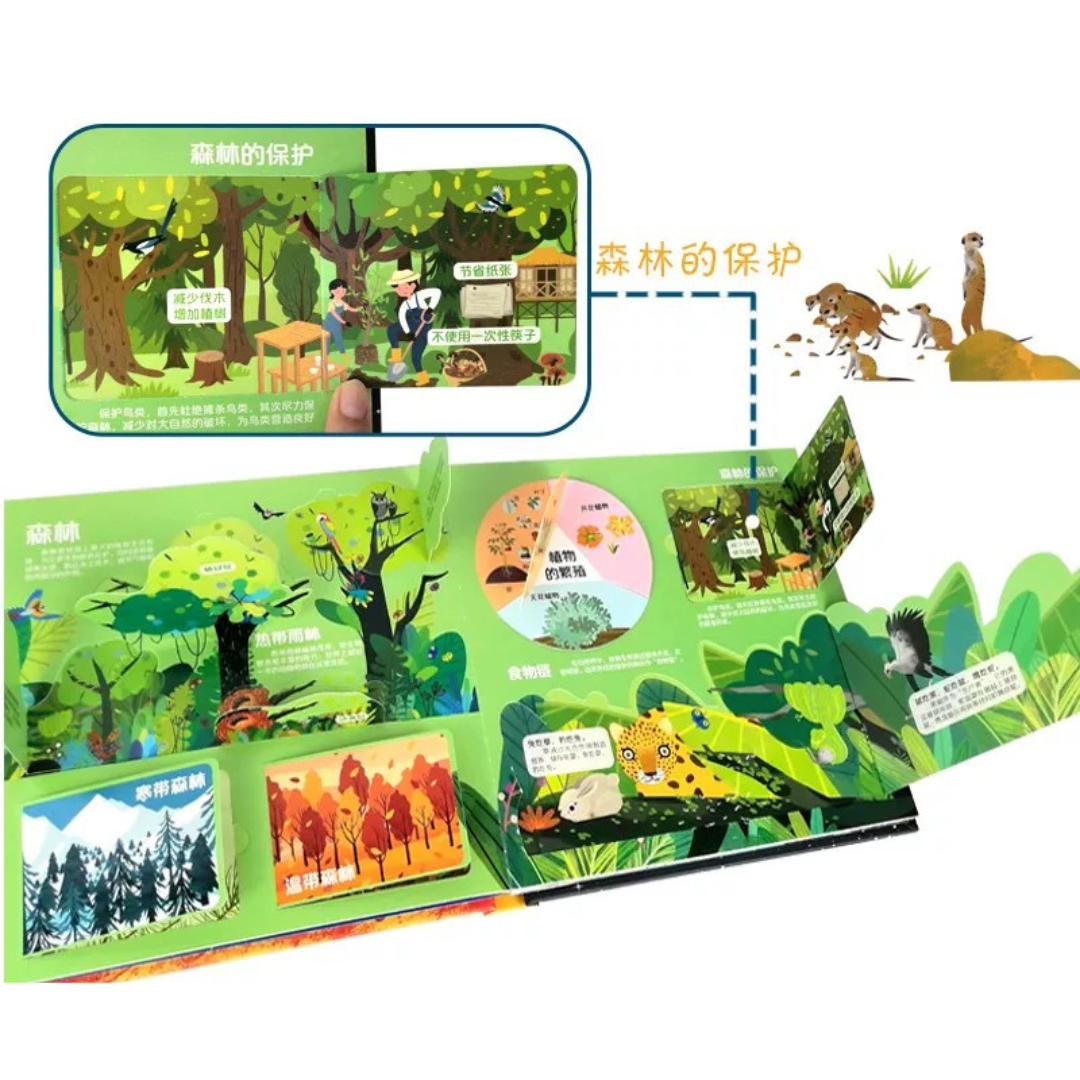 The Earth 《我们的地球》