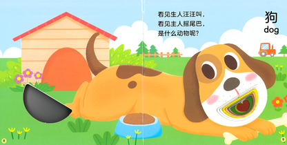 Wonderful Books with Holes Series 《妙趣洞洞书系列》