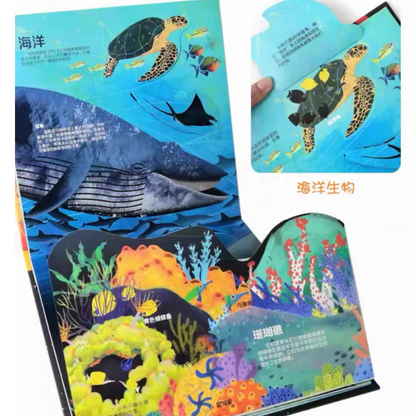 The Earth 《我们的地球》