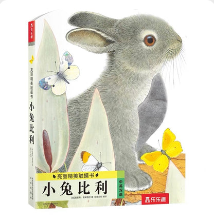 Touch and Feel Board Book: Billy Bunny  《小兔比利触摸书》