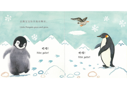 Goodnight, Little Penguin 《晚安，小企鹅》