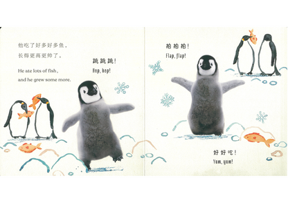 Goodnight, Little Penguin 《晚安，小企鹅》