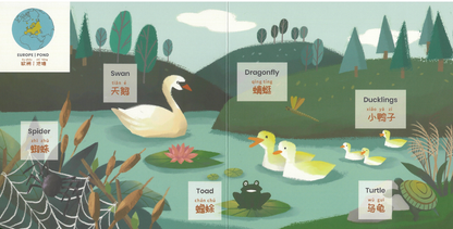Habbi Habbi Bilingual Mandarin: Animals, Plants & Places