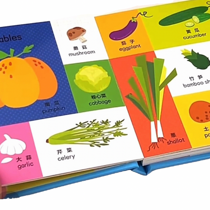 Bilingual Encyclopedia 《0-3 双语启蒙小百科 》